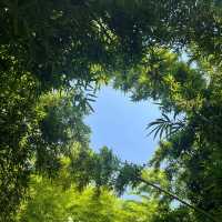 上塔悠公園🛣️城市氧吧🌳🌼