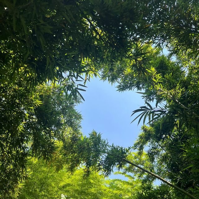 上塔悠公園🛣️城市氧吧🌳🌼