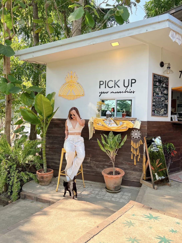 ร้านคาเฟ่ริมน้ำแม่กลอง 🌿🌳 High River Café