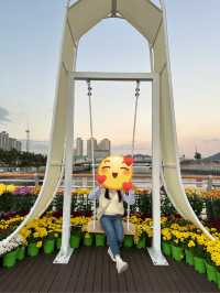 마산에 가고파! 국화가 만발한 ‘마산 가고파 국화축제’ 🌼✨