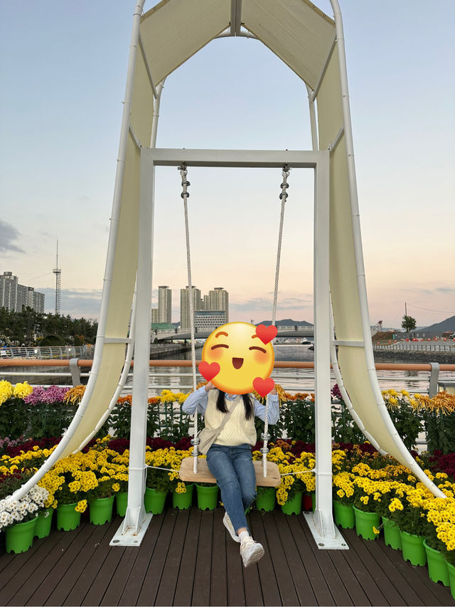 마산에 가고파! 국화가 만발한 ‘마산 가고파 국화축제’ 🌼✨