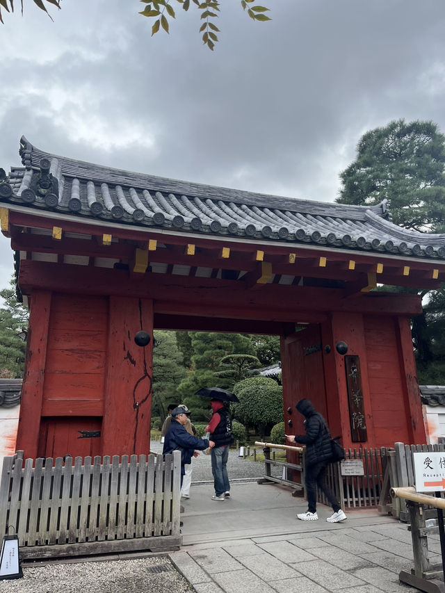 【京都　宇治】紅葉シーズンの平等院