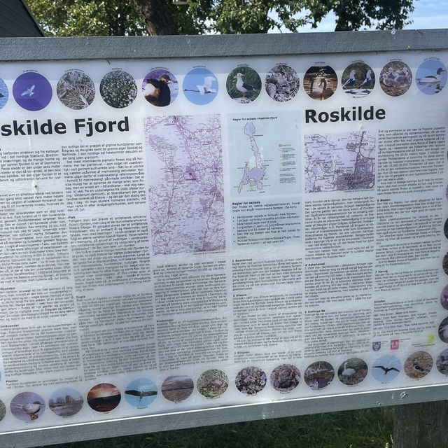 Relaxing in Roskilde-Copenhegen