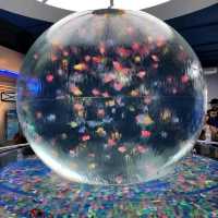 รีวิว Aquaria KLCC กัวลาลัมเปอร์