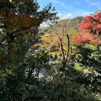 Kinkakuji Temple