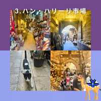 【エジプト女子旅】2泊でサクッとまわれる！カイロ観光スポット4選