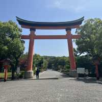【宇佐】 全国八幡宮の総本宮！
