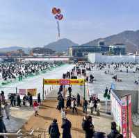 역대급 으로 핫한 화천산천어축제🐟