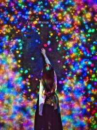 【大規模拡大‼️】チームラボがリニューアルして再登場👏✨@豊洲