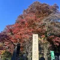 【八王子】気軽に登れる高尾山！