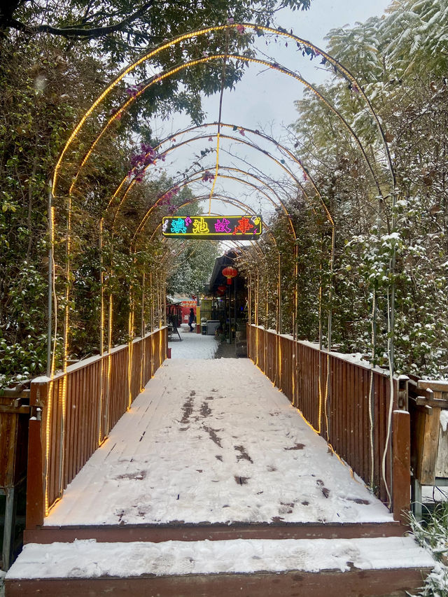 🥰☃️白雪浪漫～昆明滇池必去海埂公園🕊️🌊