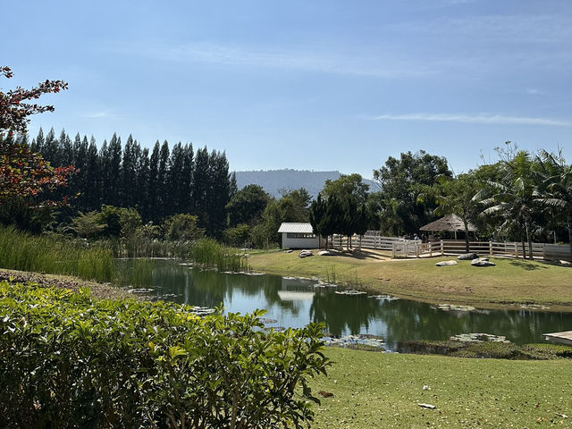 ทริปเขาใหญ่ 2 วัน 1 คืน🏞️🌳