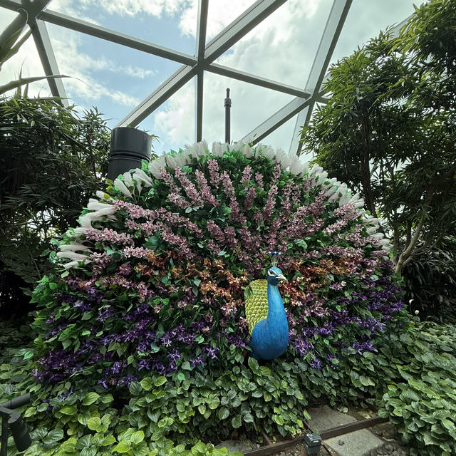 「新加坡」迪士尼聯乘星空花園，自然和花藝的探索