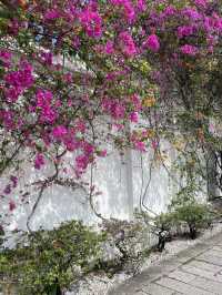 Cheong Fatt Tze – The Blue Mansion: A Timeless Gem in Penang 💙🏯