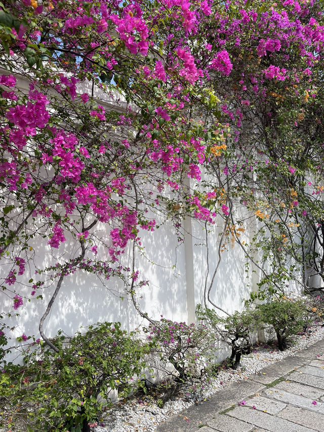 Cheong Fatt Tze – The Blue Mansion: A Timeless Gem in Penang 💙🏯
