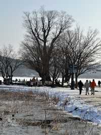 ❄️ 시원히게 탁트인 겨울의 자연풍경을 감상하기 좋은 겨울 여행지 ❄️
