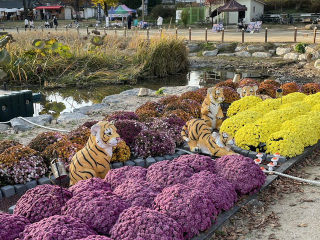 한국관광 100선 두 물길이 만나는 두물머리 🧡