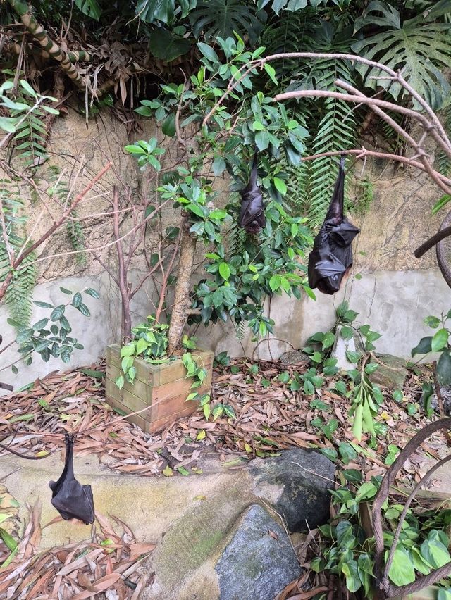 Nagasaki Bio Park