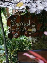 ☕️ Pema Cafe คาเฟ่สุดคิ้วท์ อ.แม่แจ่ม