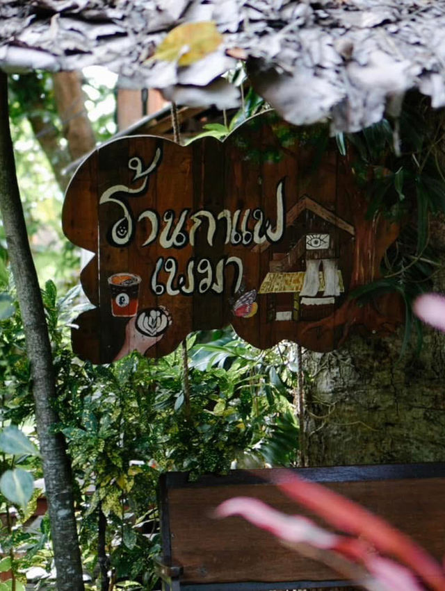 ☕️ Pema Cafe คาเฟ่สุดคิ้วท์ อ.แม่แจ่ม
