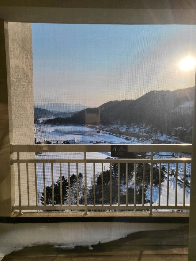 머무는내내 힐링였던 평창 속 겨울왕국 