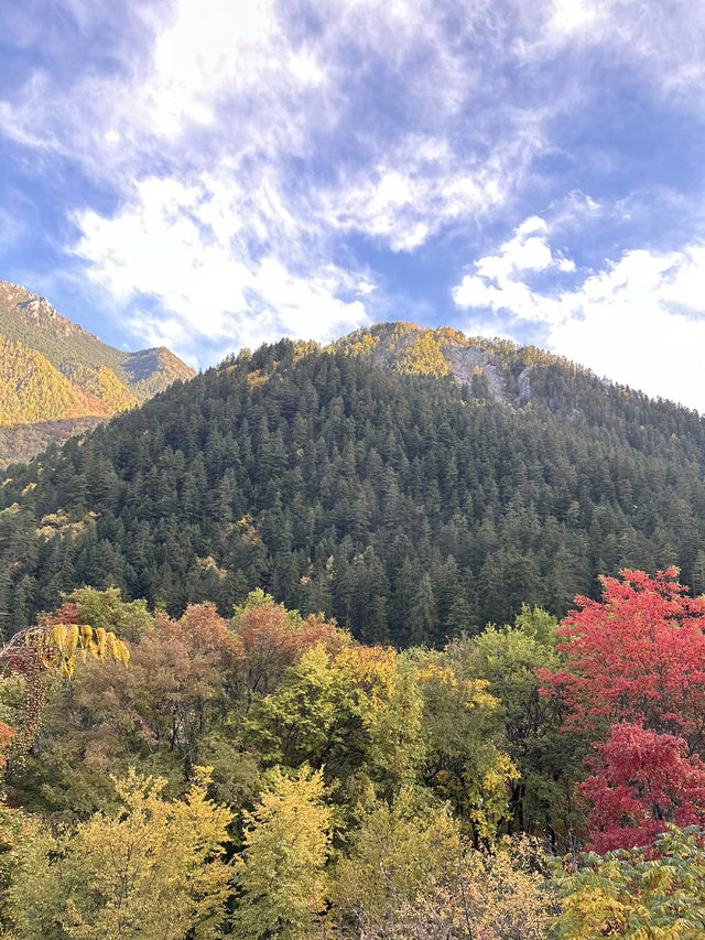Lose yourself in the beauty of nature’s
