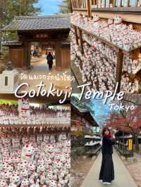Gotokuji Temple 😸 วัดแมวกวักนำโชคในโตเกียว