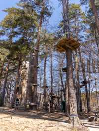 【山梨県/八ヶ岳】リゾナーレ八ヶ岳でできること