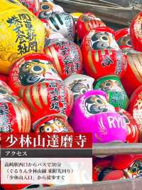 【パワースポット】縁起だるま発祥のお寺でだるまに祈ろう