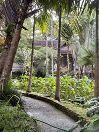Museum Puri Lukisan巴厘島烏布魯基桑美術館藝術與文化的饗宴