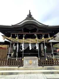 【福岡観光】御神木の大きさに驚き🌳地元で愛される神社⛩