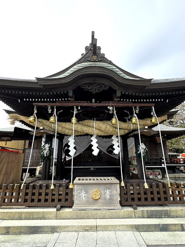 【福岡観光】御神木の大きさに驚き🌳地元で愛される神社⛩