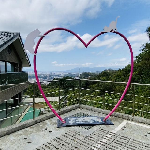 貓空漫遊-步道、美景與茶香的完美結合