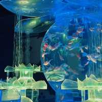 【銀座】季節によって変わる！金魚アート体験🐠