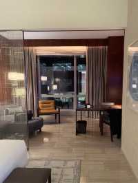 Sky-High Luxury & Unmatched Elegance: My Best Stay at Park Hyatt New York!