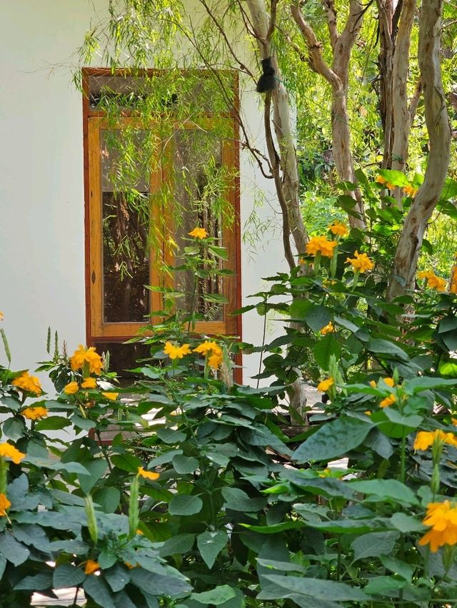 tavy's home : บางจาก
