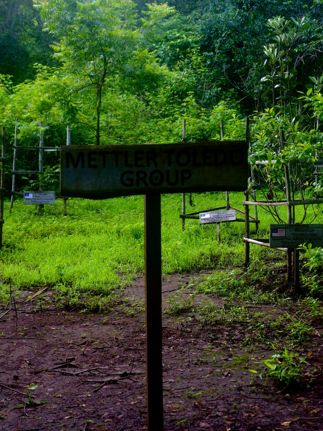 Visiting A Home To Over A Hundred Species Of Wildlife 🦍✨