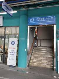 부산 바다 전망이 한눈에 보이는 곳🚊🌊