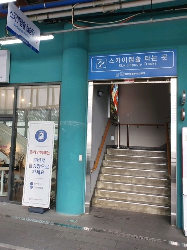 부산 바다 전망이 한눈에 보이는 곳🚊🌊