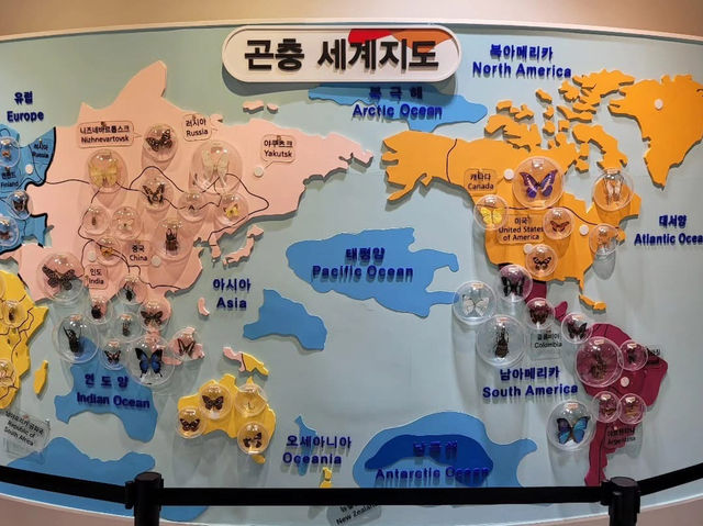 경상북도 상주시 곤충 생태 전시관 입니다.