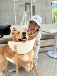 Dog In Town Café (ด็อกอินทาวน์ คาเฟ่) 