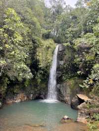 Top 3 Waterfalls in Flores Island for Swimming 💦🏝️ 