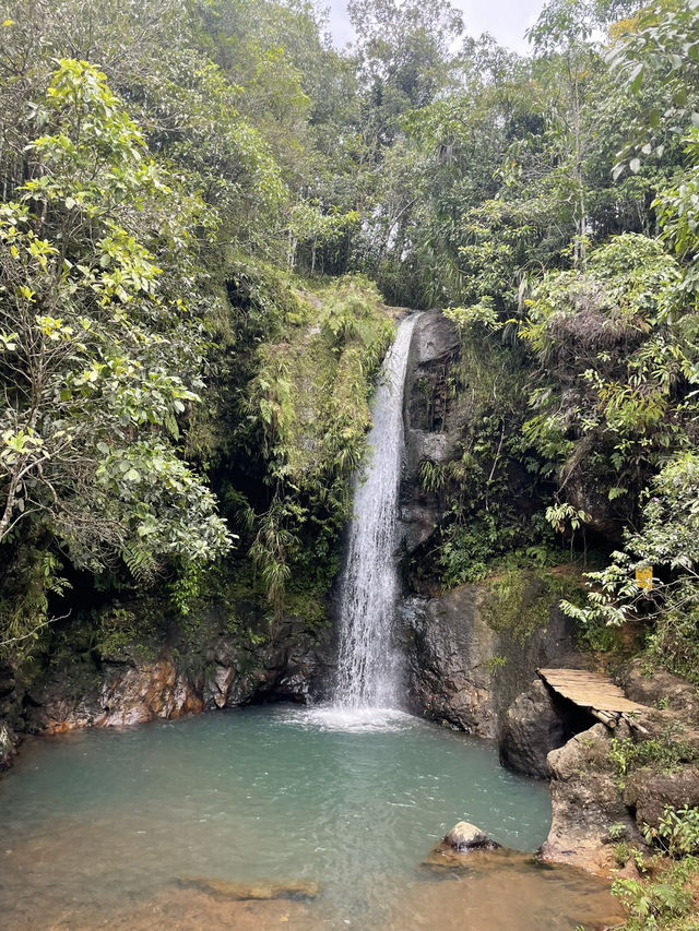 Top 3 Waterfalls in Flores Island for Swimming 💦🏝️ 