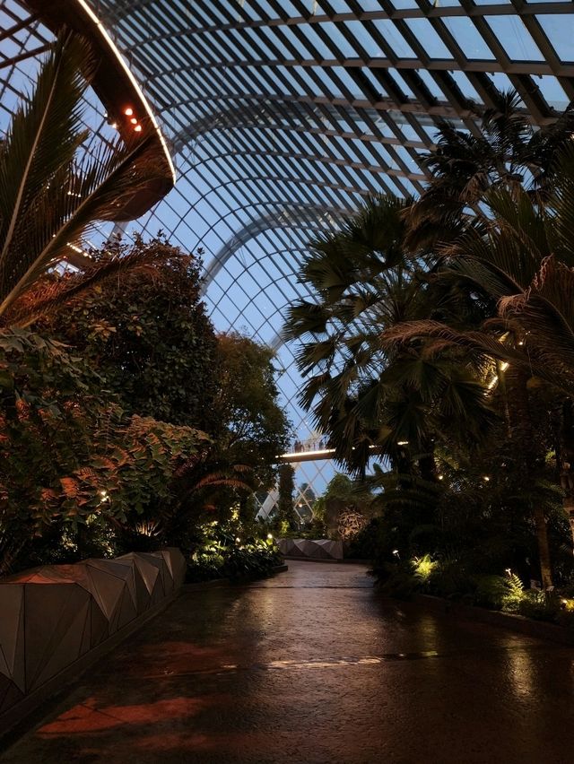 📍Cloud Forest