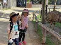 慢步。細味。悉尼動物園