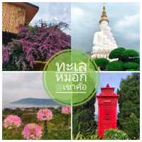 จุดชมวิวทะเลหมอก @ เขาค้อ