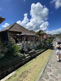 🇮🇩 Penglipuran Village 
