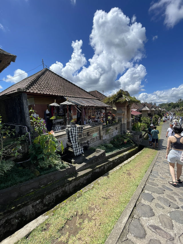 🇮🇩 Penglipuran Village 