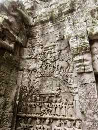 The Mystical Allure of Ta Prohm – A Journey Through Time