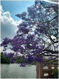 สวนสาธารณะในเมืองใหญ่ (Changchun-Kunming)